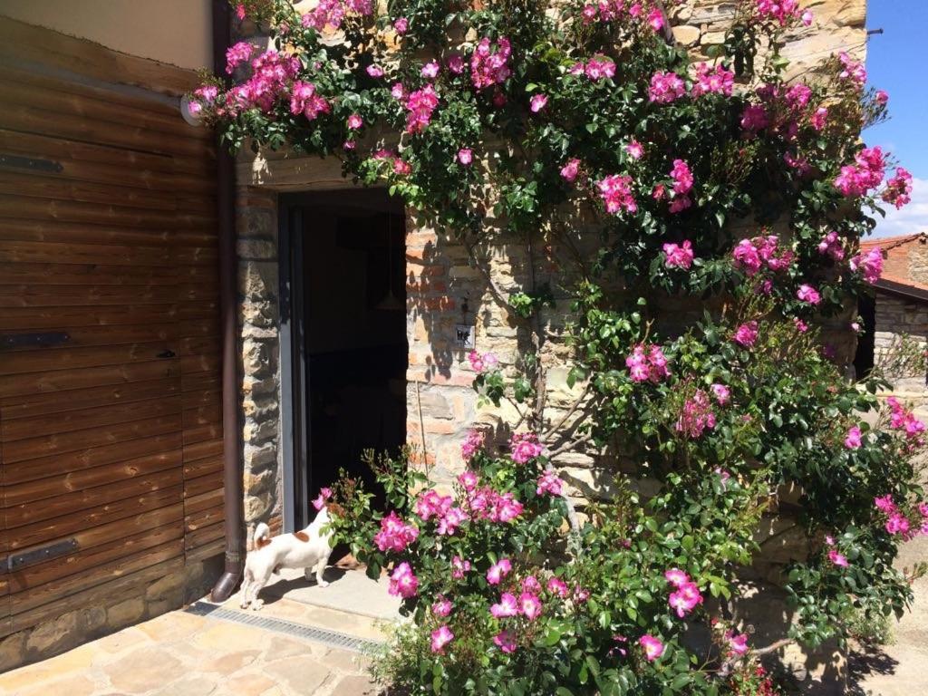Nido D'Amore Nei Colori Dernice Exterior foto